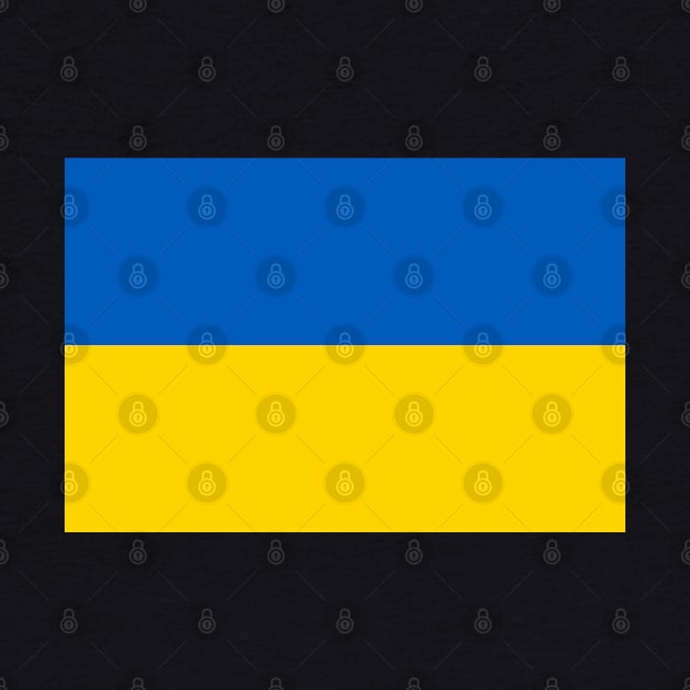 Ukraine Flag by Vladimir Zevenckih